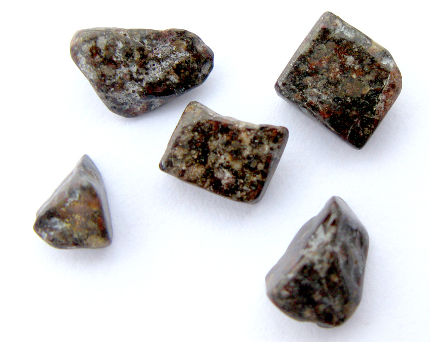 NWA 869 Meteorite Chondrite Stone Specimen 5 PCS LOT Rock Authentic Guaranteed