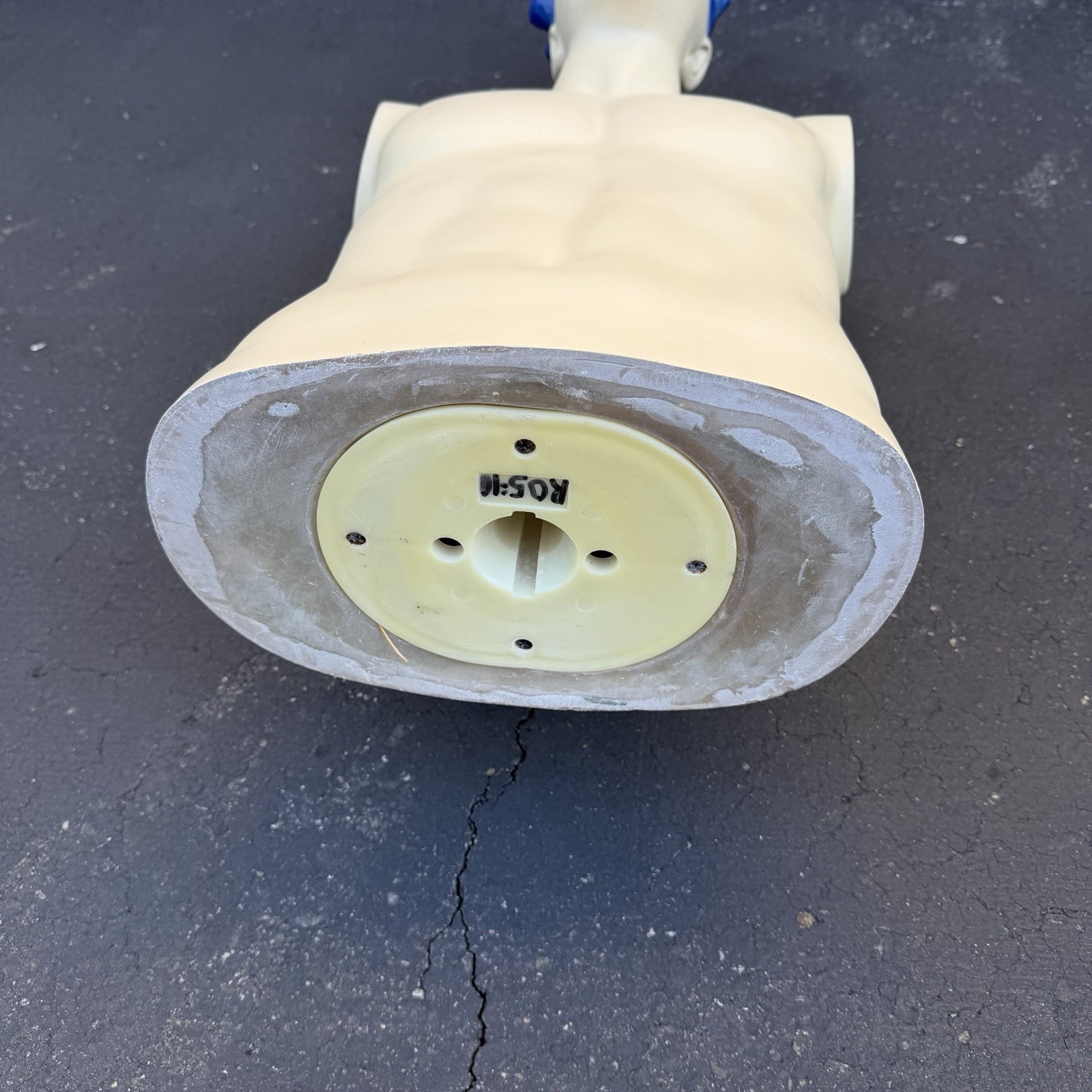 Lady Lulu Vintage Mannequin Torso Head Male Man Muscle Blue Spike Hair Smiling