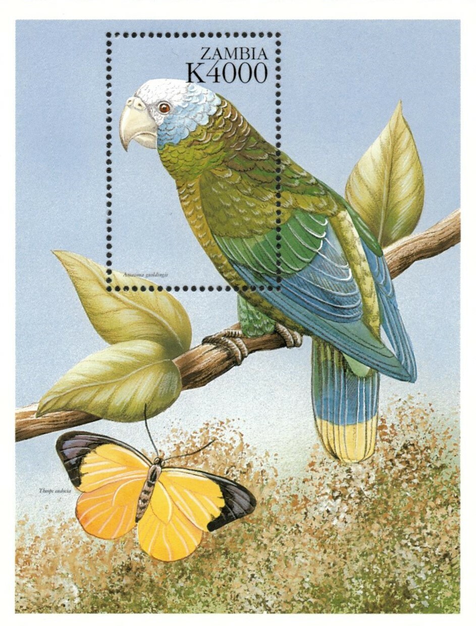 Zambia 1999 - Birds Parrot Butterfly - Souvenir Stamp Sheet - Scott #829 - MNH