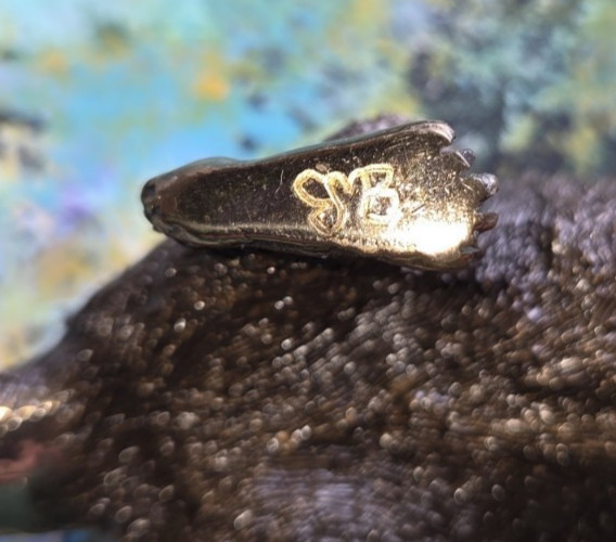 Eddie Wentorf Bronze Tasmanian Devil Sculpture Signed Art