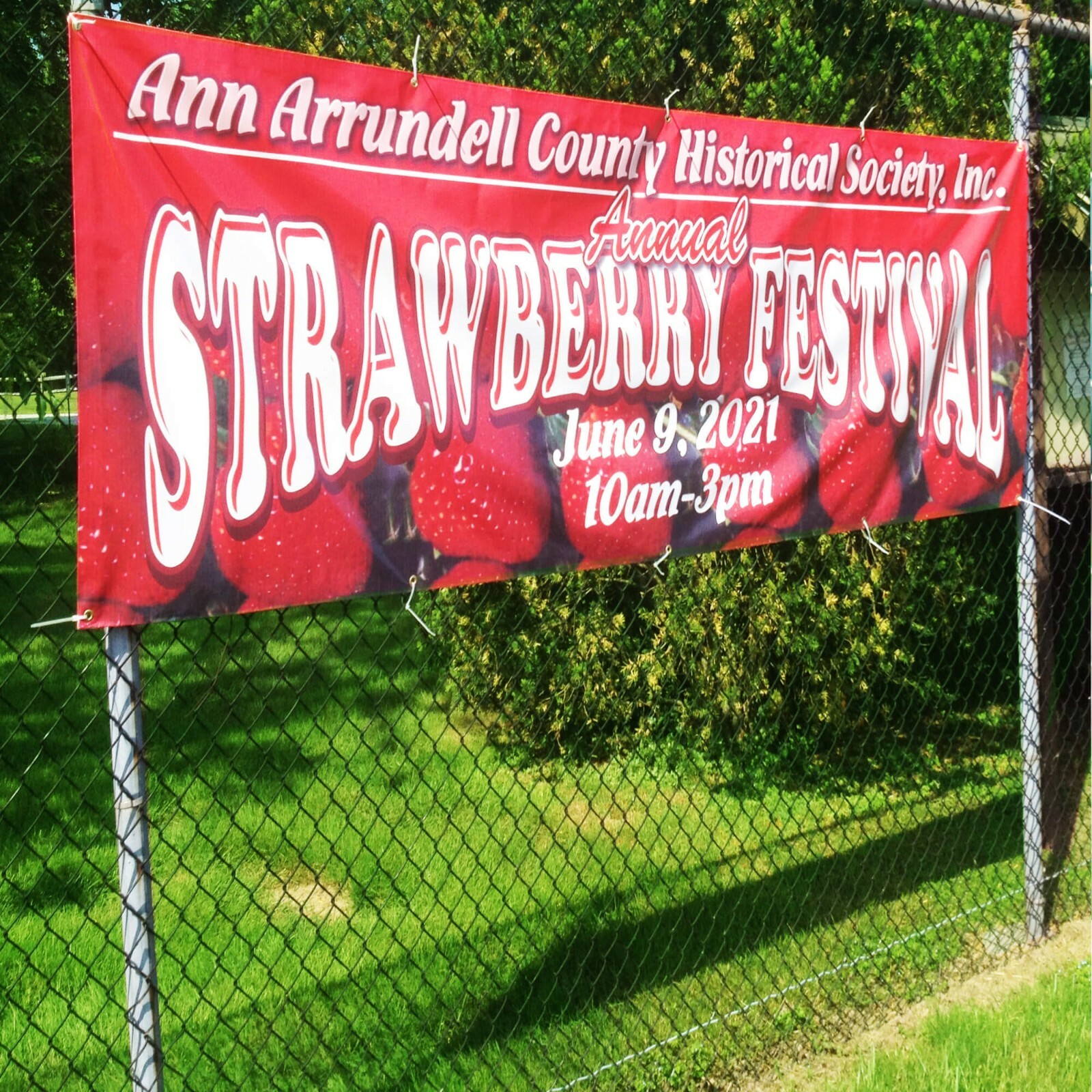 Anley Custom Vinyl Banner - 13oz Heavy Duty Vinyl Sign - Personalized Banner