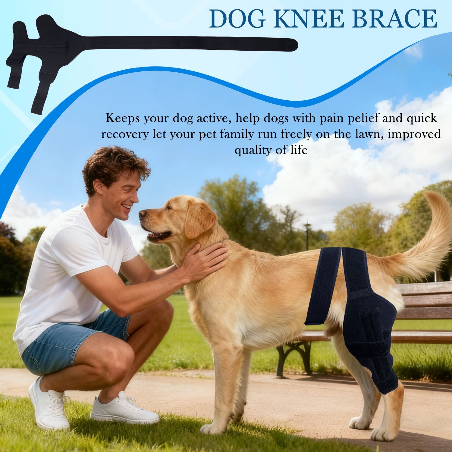 Dog Knee Brace for Torn ACL Hind Leg - For Arthritis, and Joint Injury Recovery
