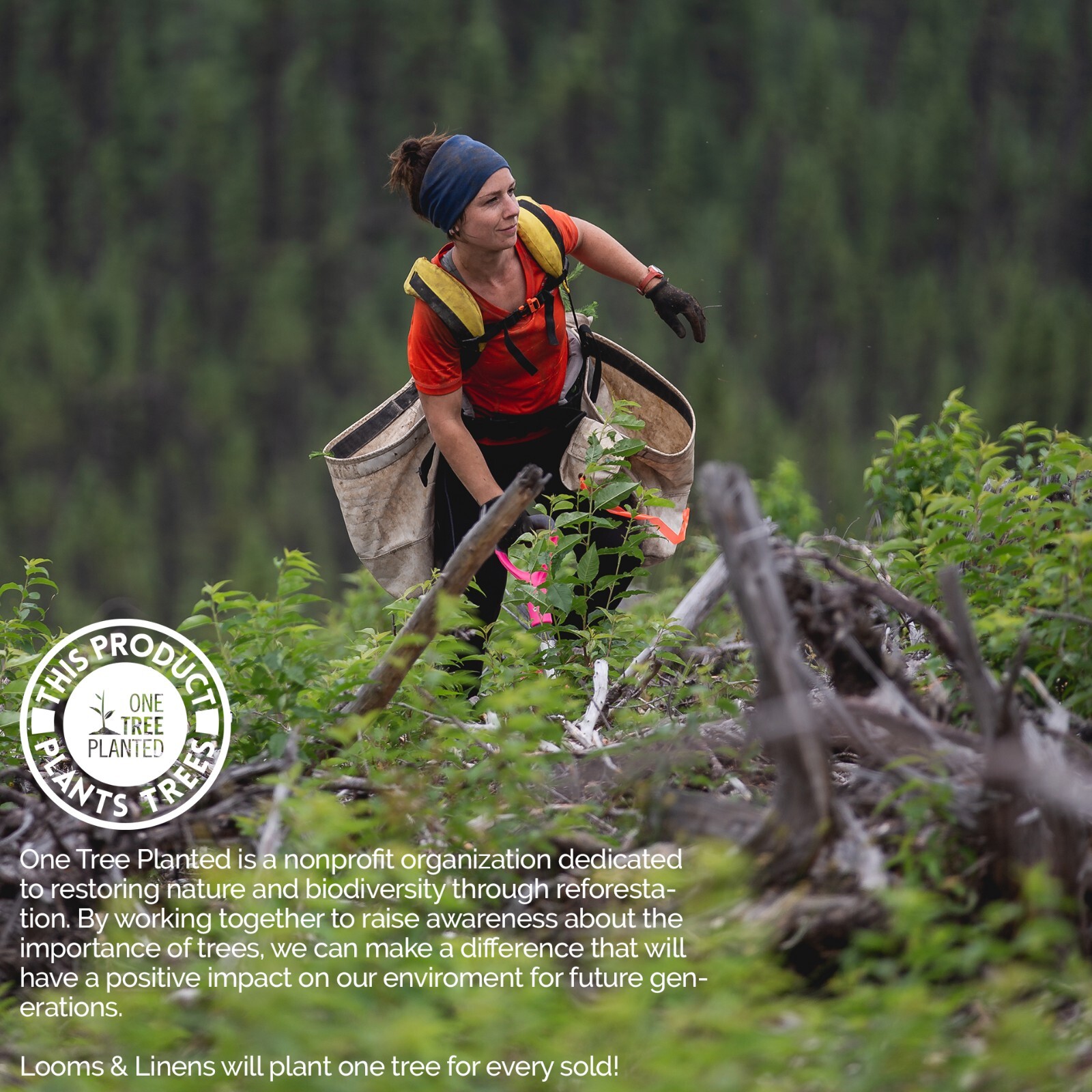 Dakimakura Pillow Full Body Pillow for Pregnant Women Adults Elderly Sleep USA