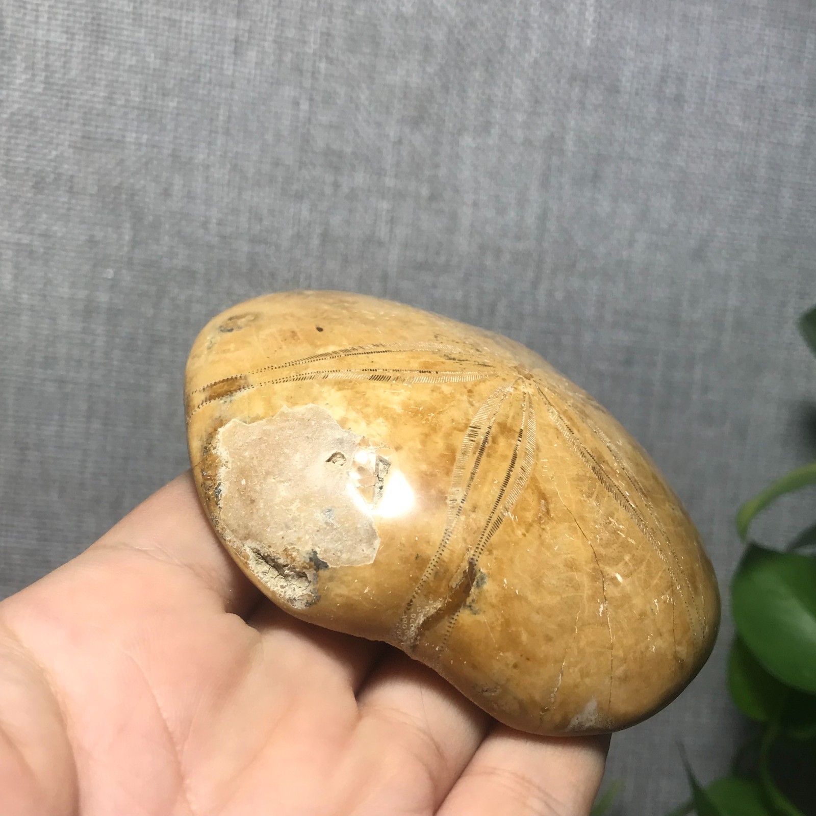 207g Starfish Crystal Specimen 16