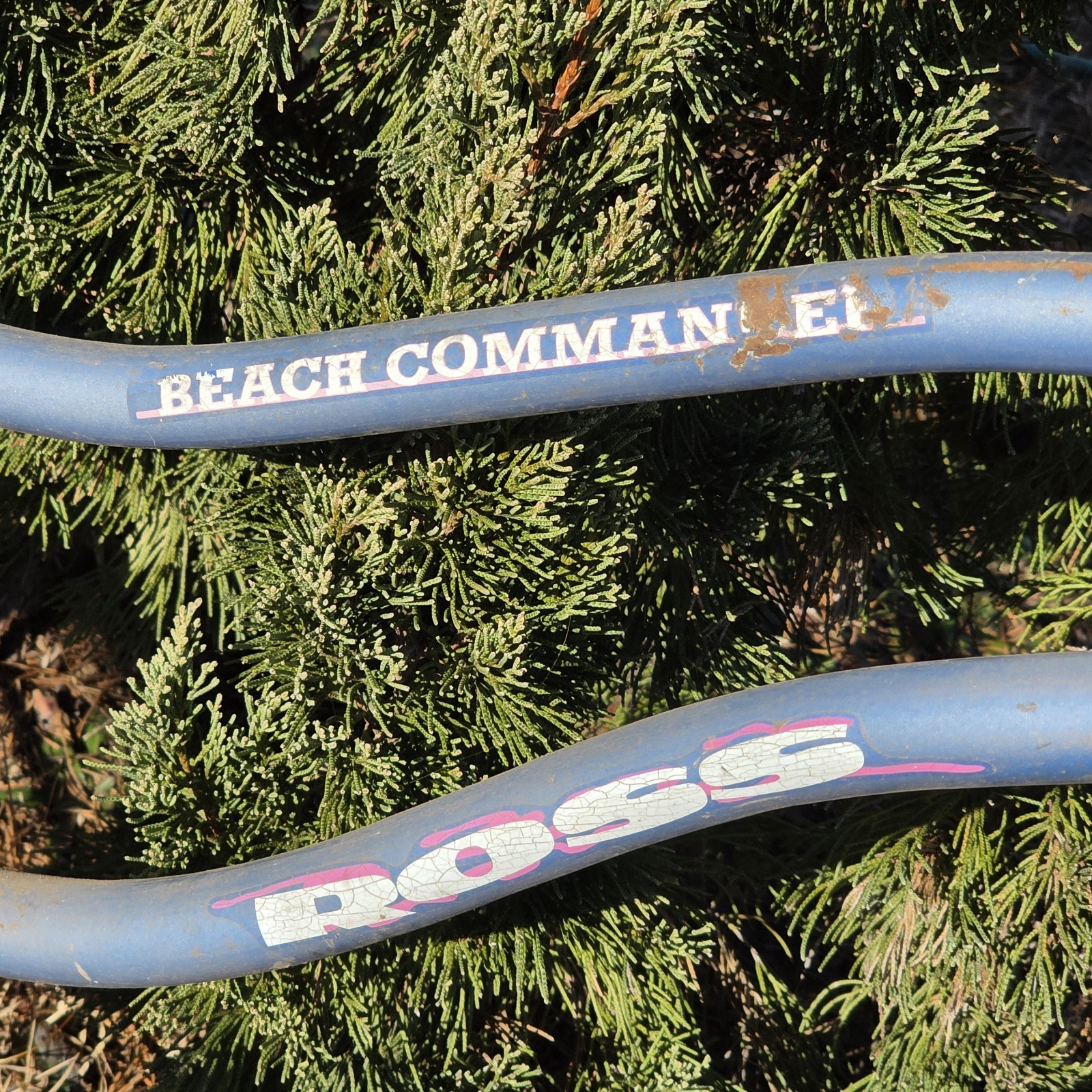 vintage Ross Beach Commander cruser bike