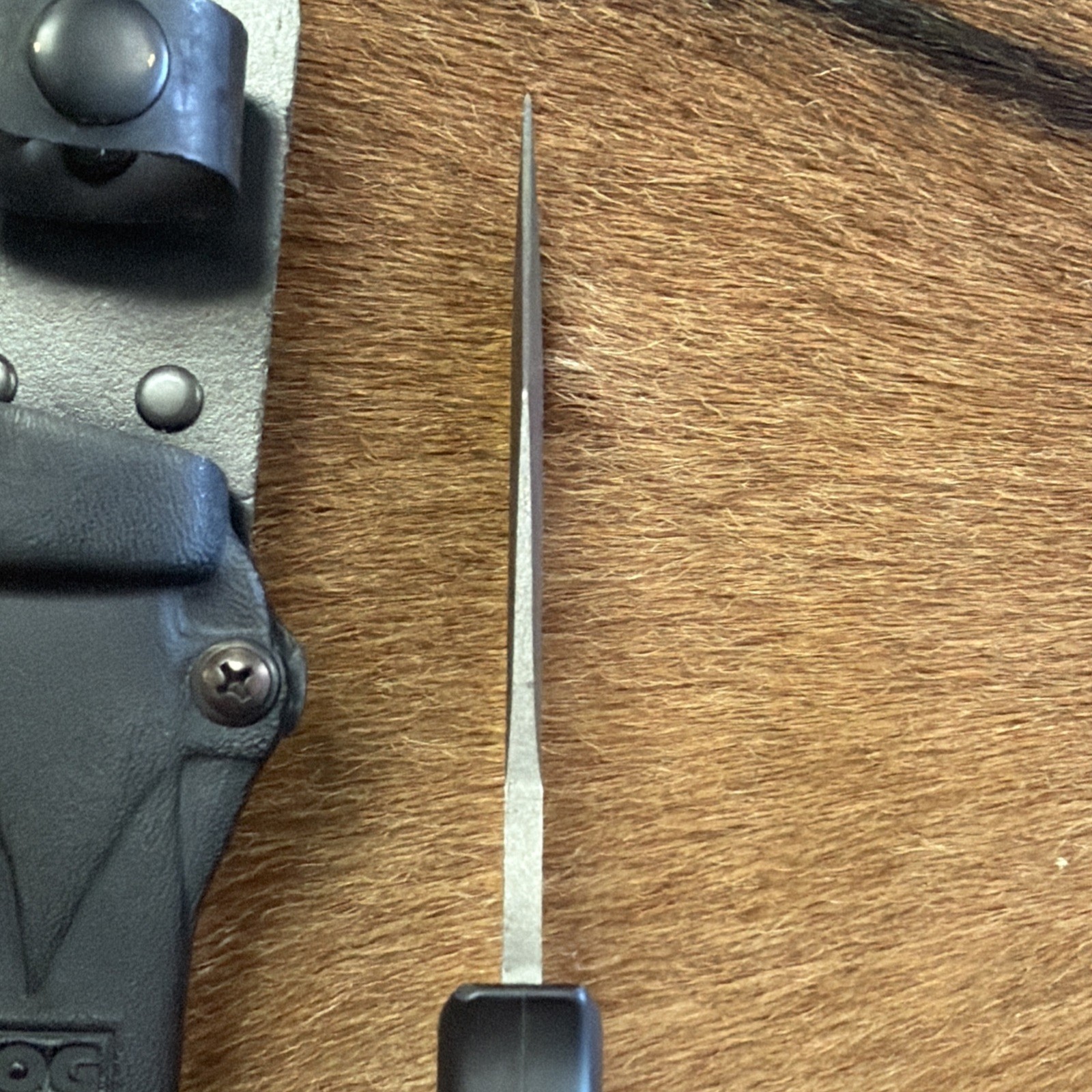 SEKI-JAPAN SOG SEAL PUP SATIN FINISH FIXED BLADE KNIFE