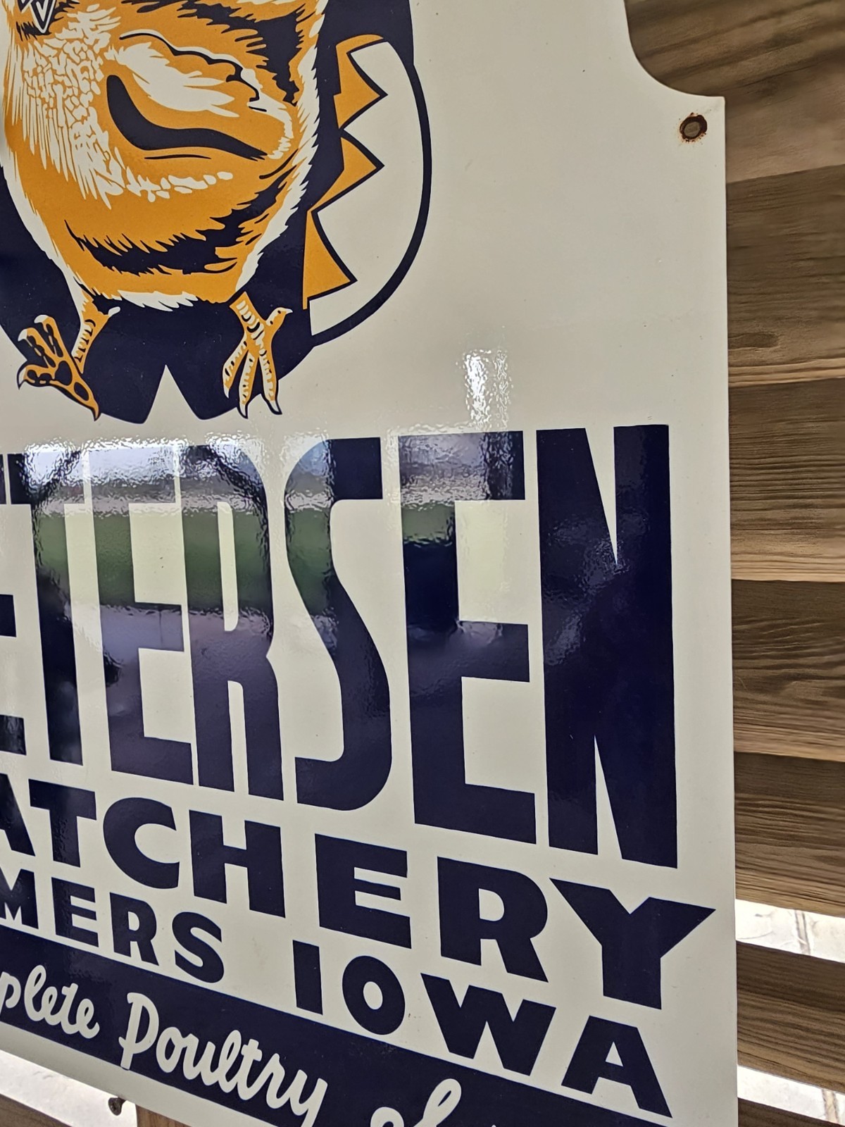 RARE VINTAGE PETERSEN HATCHERY, SOMERS IOWA 24"X 17" PORCELAIN SIGN SUPER NICE