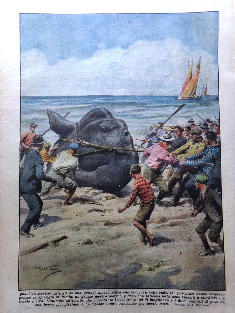 La Domenica del Corriere 29 April 1934 Alpini Bologna Florence Ozone Photographs