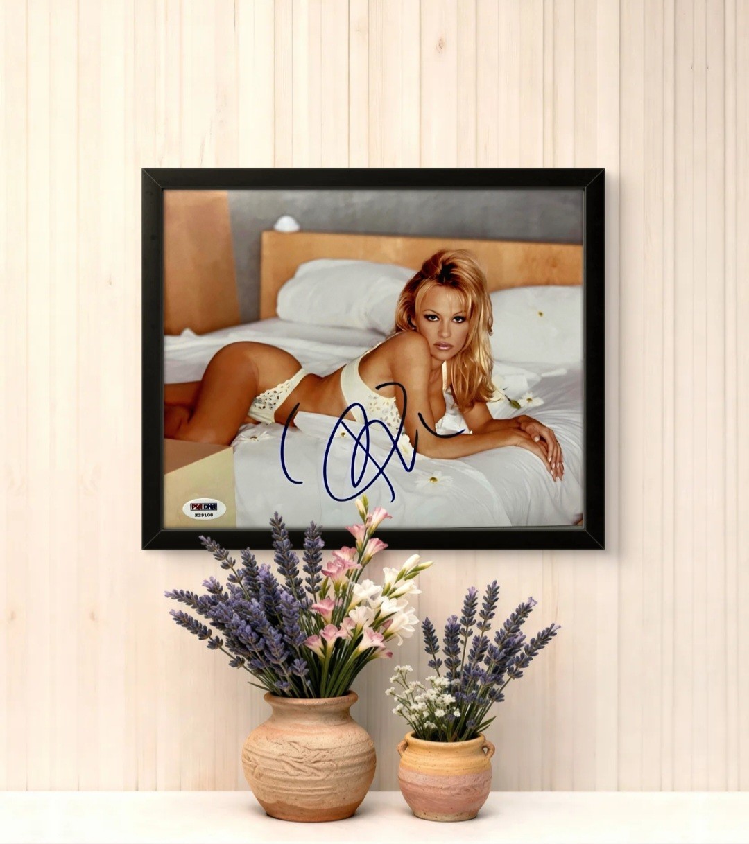 8x10 Framed Vintage Pamela Anderson Rare! signed autographed sexy lingerie