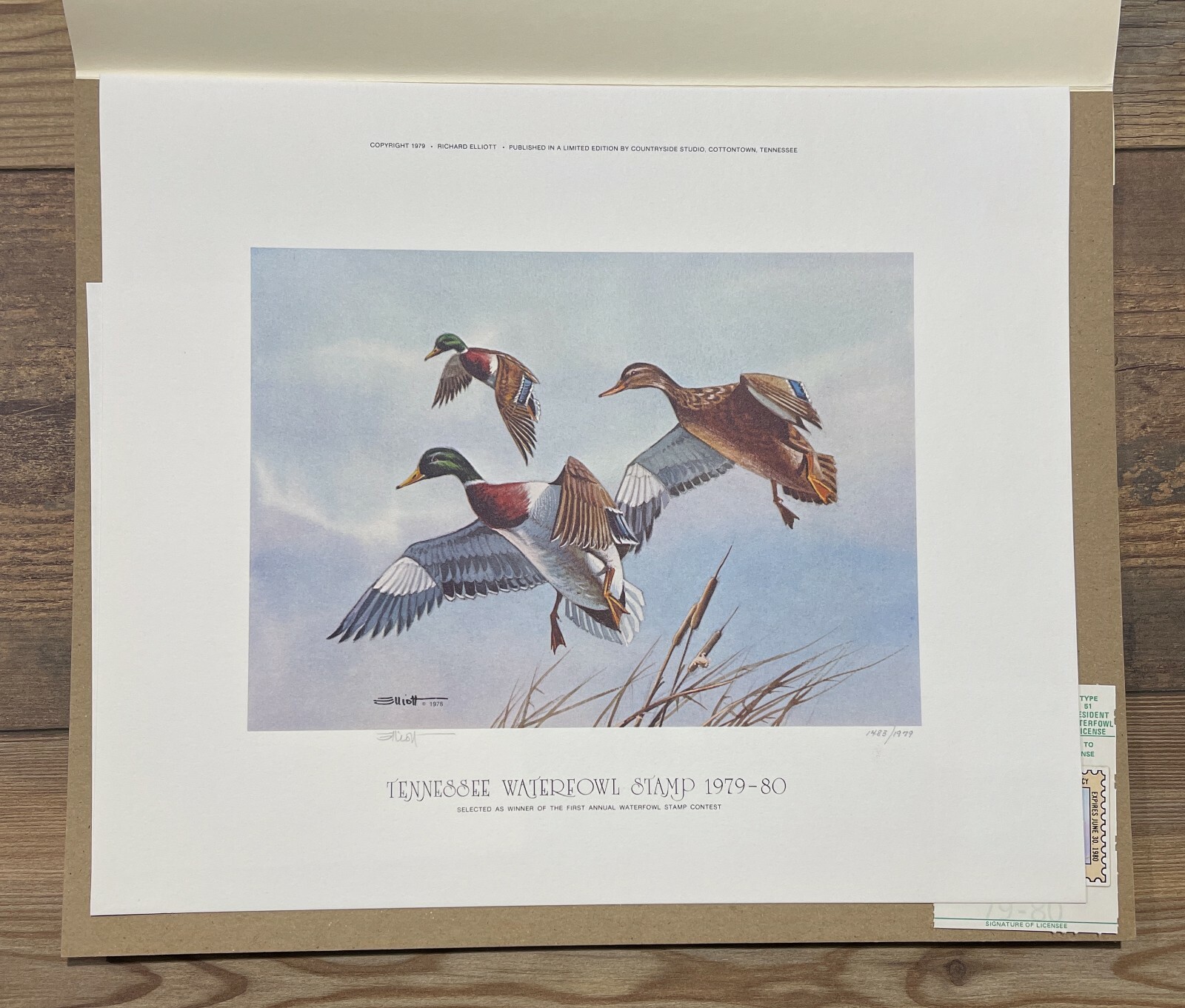 1979 TENNESSEE - State Duck Stamp Print - with STAMP! **First of State**