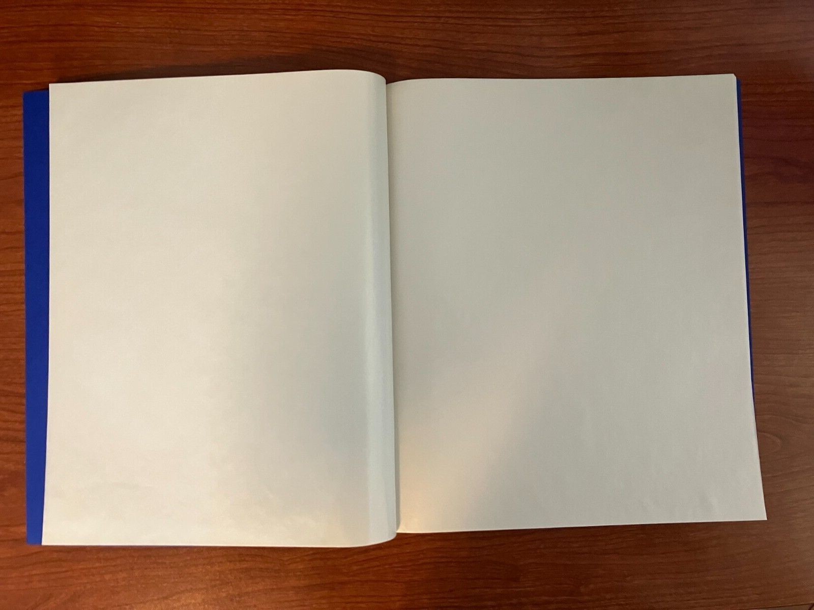 Meghrig Double Mint Sheet File - 24 Sheet Capacity - BLUE