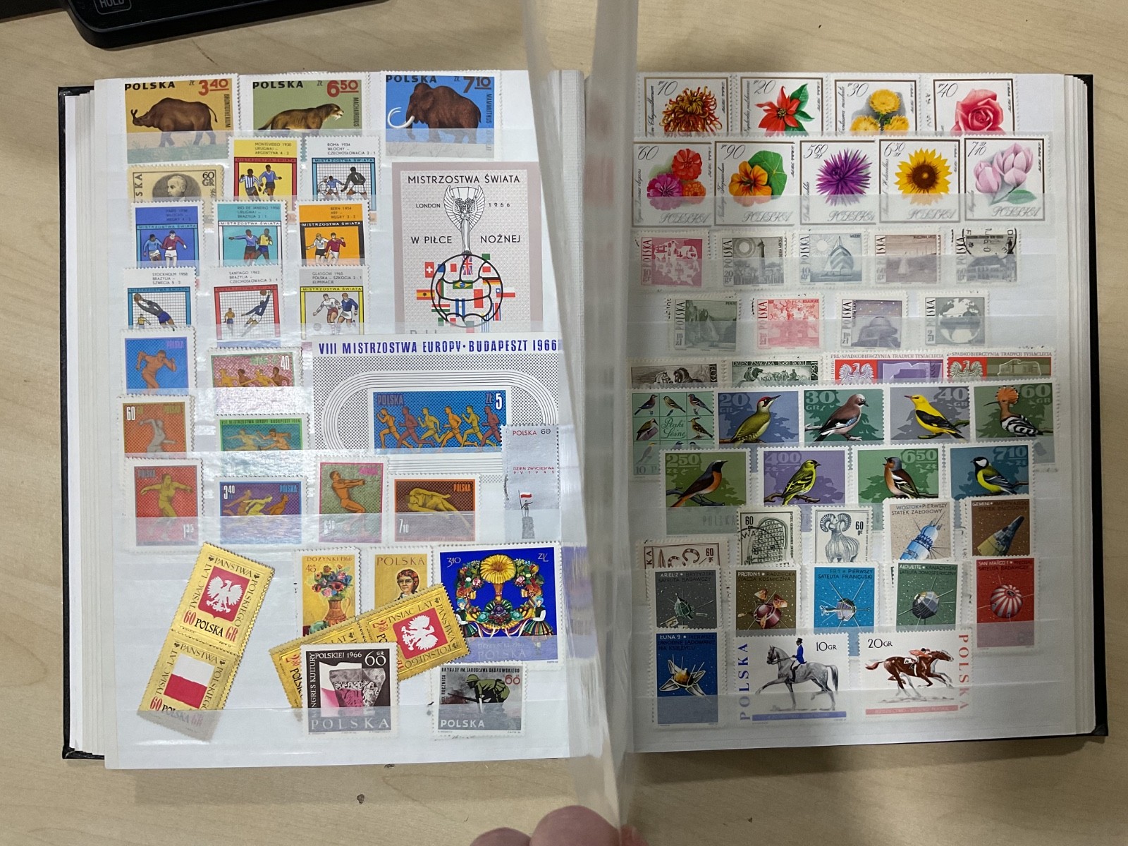 Poland stamps. Mostly mint. stock book. G/40