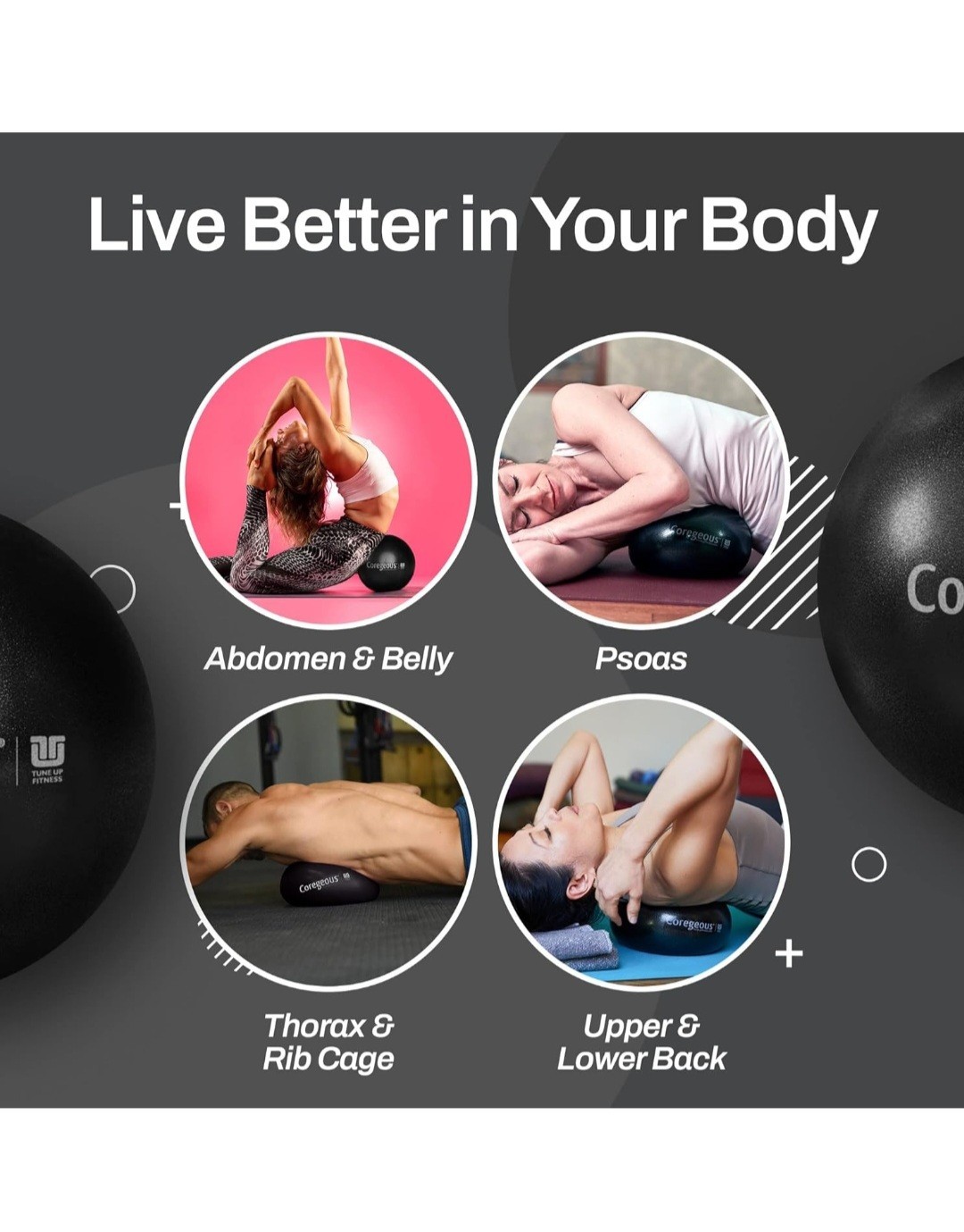 Tune Up Fitness NEW Coregeous Ball Massage Abdominal Back Psoas Release GRAPHITE