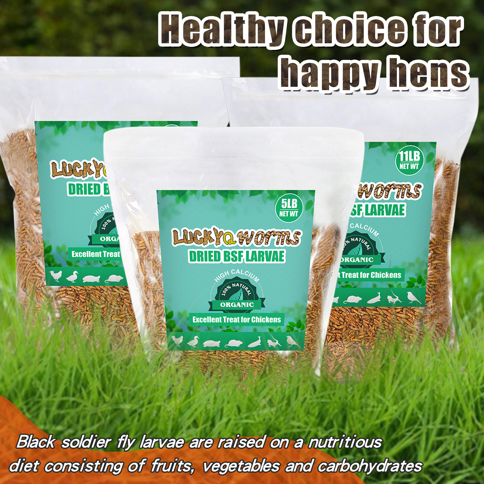 5-44LB Dried Black Soldier Fly Larvae Mealworms for Chicken Birds Treats Premium