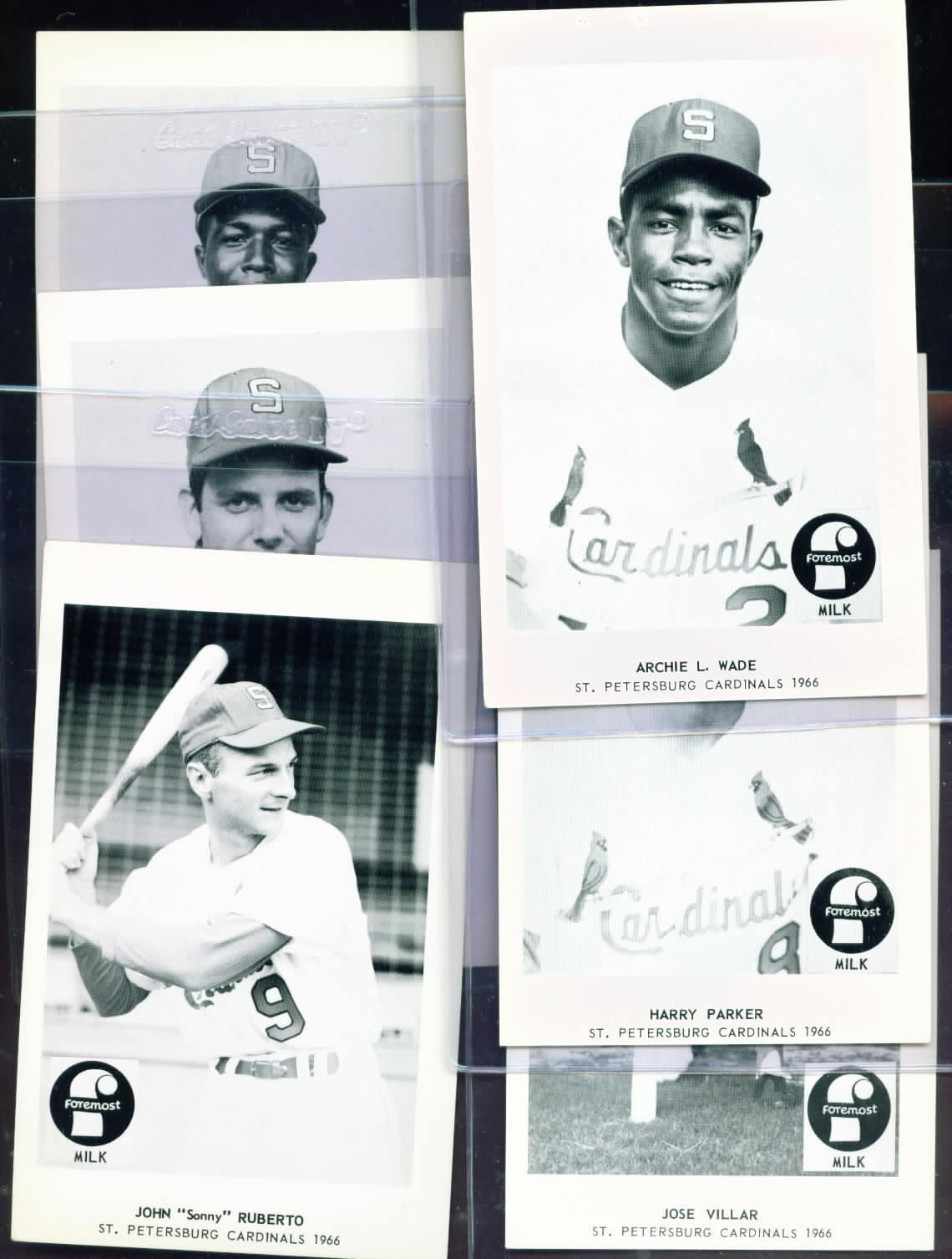1966 Foremost Milk St. Petersburg Cardinals Set (20) w/ Program SPARKY ANDERSON