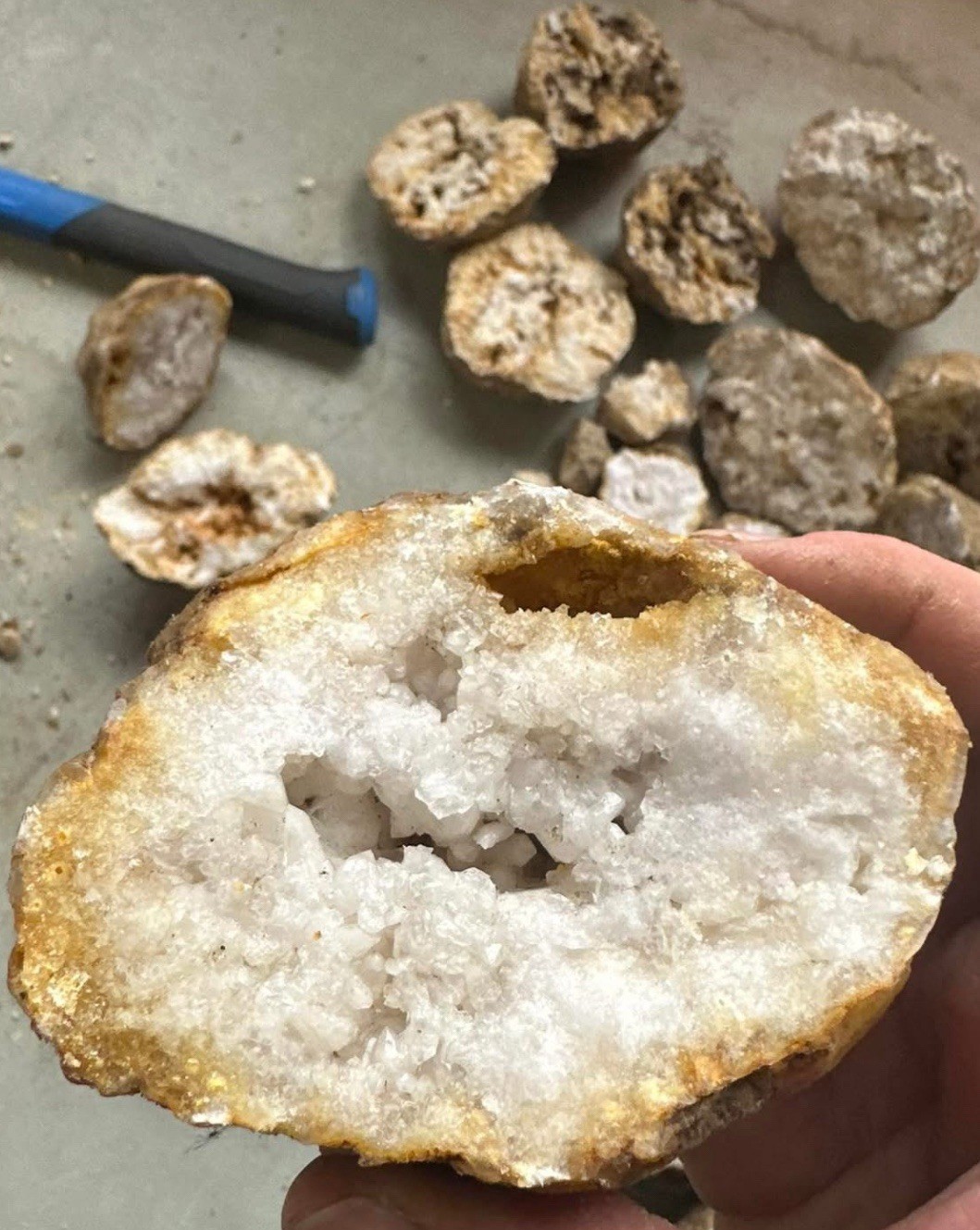 Box Of 10 Whole Natural Kentucky Geodes. FAST FREE SHIPPING! Read Description.