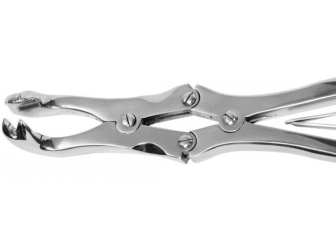 12" Equine Dental Four Prong Compound Cap Forceps