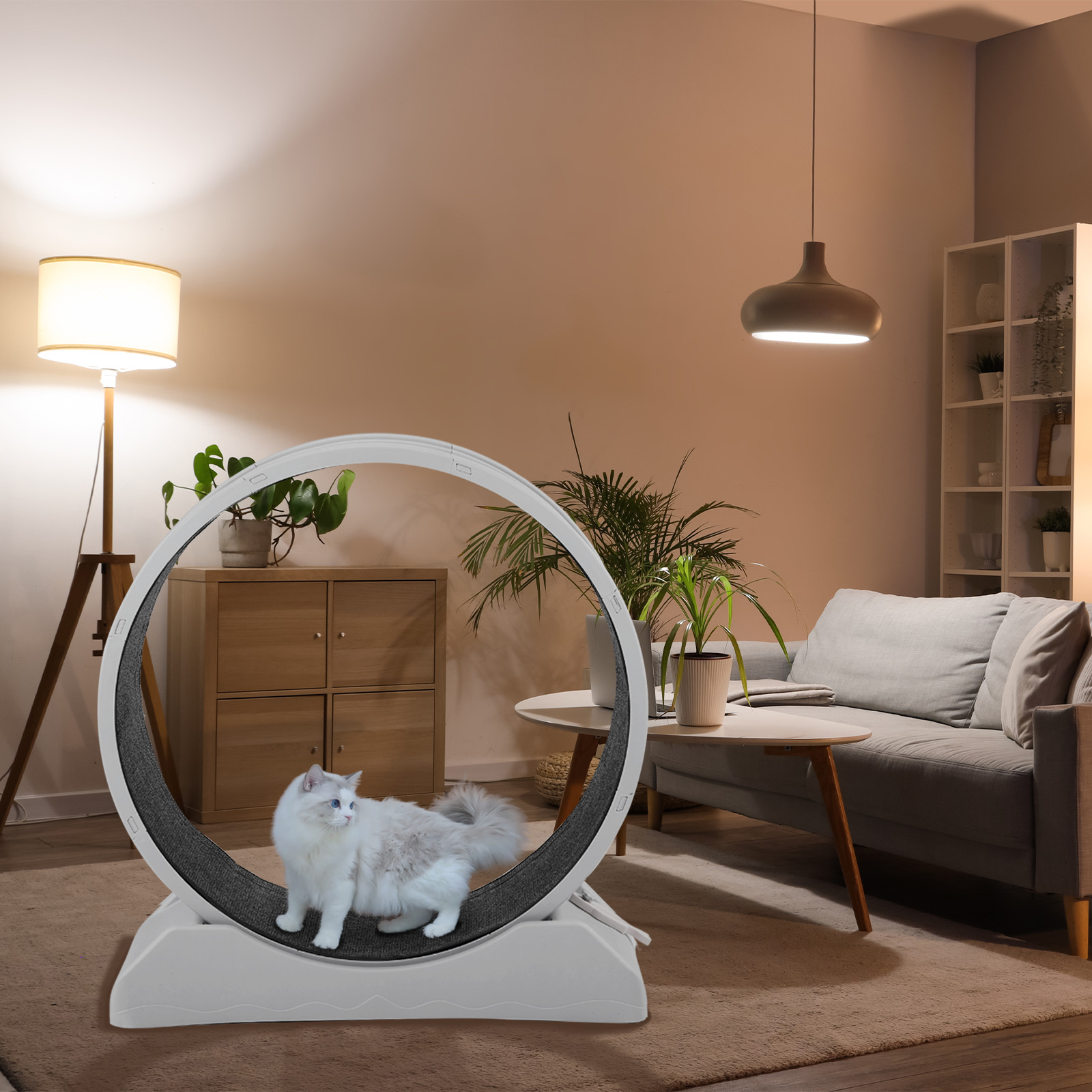 Large Cat Exercise Wheel Cat Treadmill Cat Running Wheel Silent Movement Cat Toy