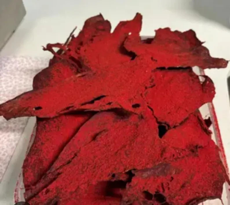 Fuego Seasoning – Extra Spicy Snack Flavor (1 LB) Fuego Sazonador