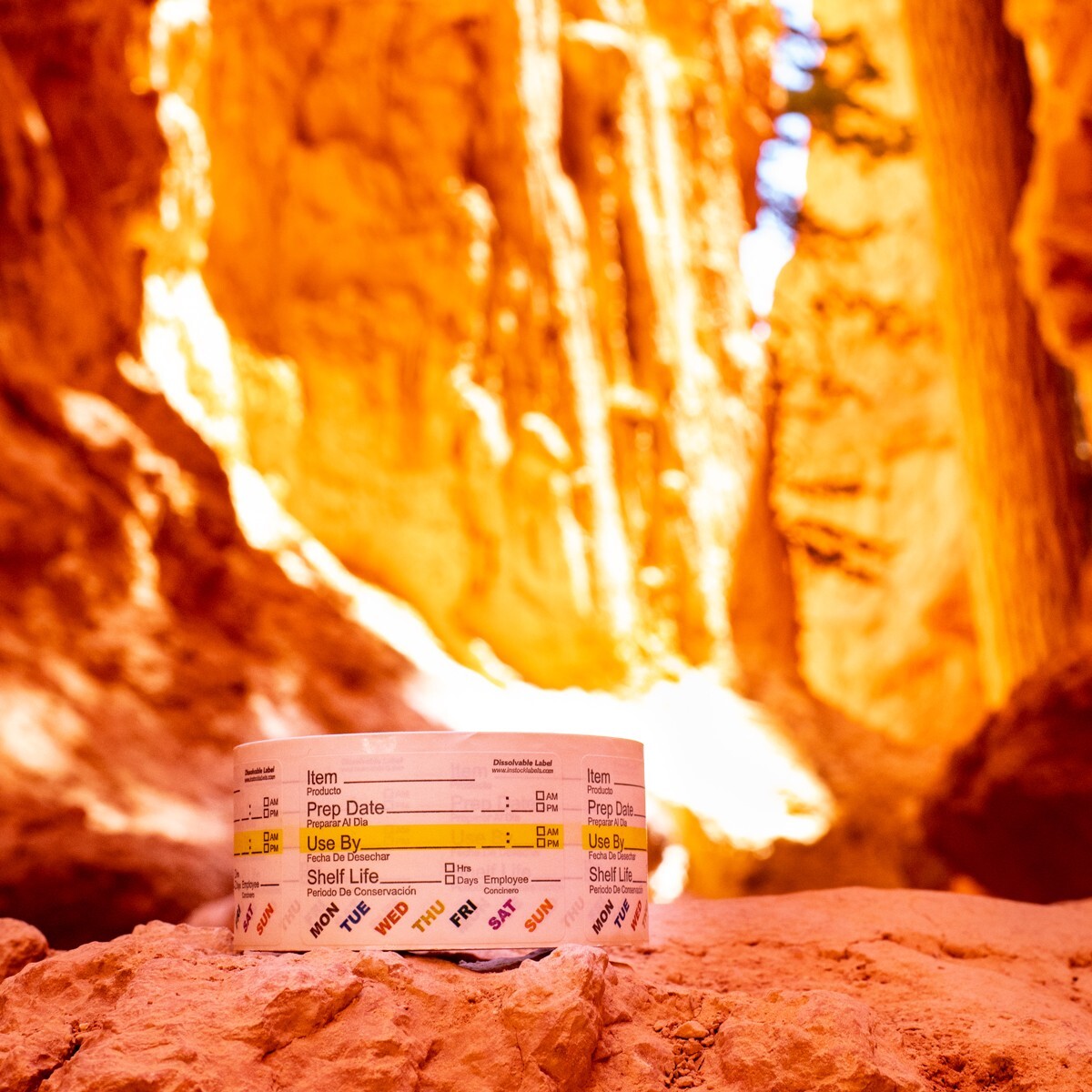 Dissolvable Food Rotation Prep Labels | 2 x 3" Inch | 500 Pack