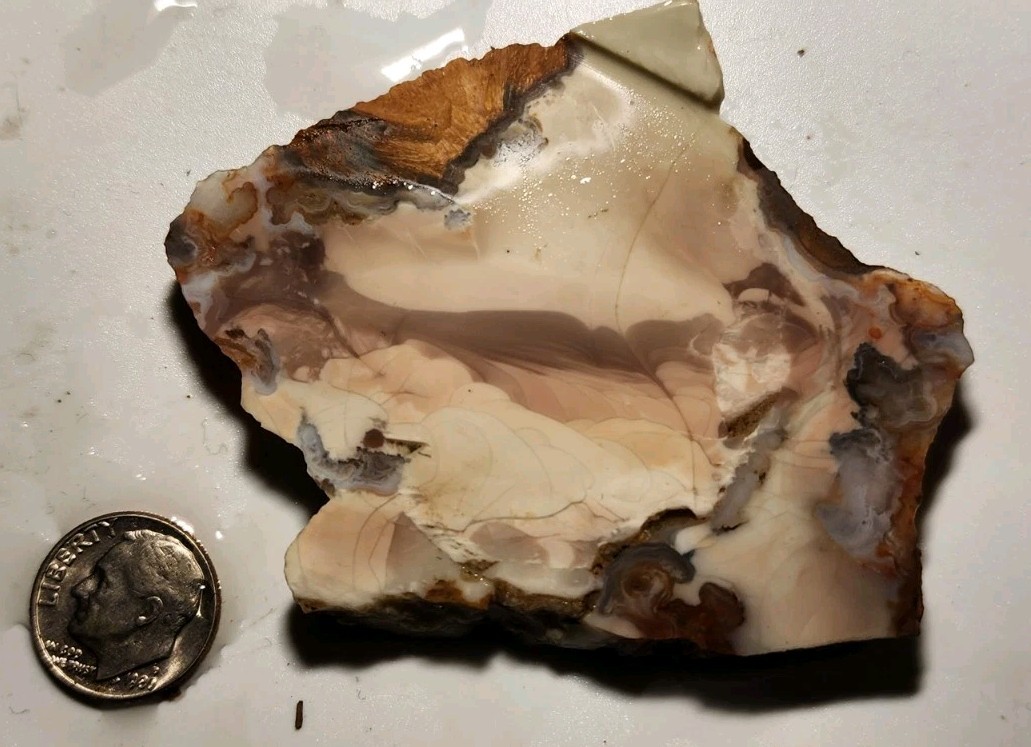 Buchanan Thunderegg - Porcelain Jasper With Orbs High Quality Lapidary, OR. 52g