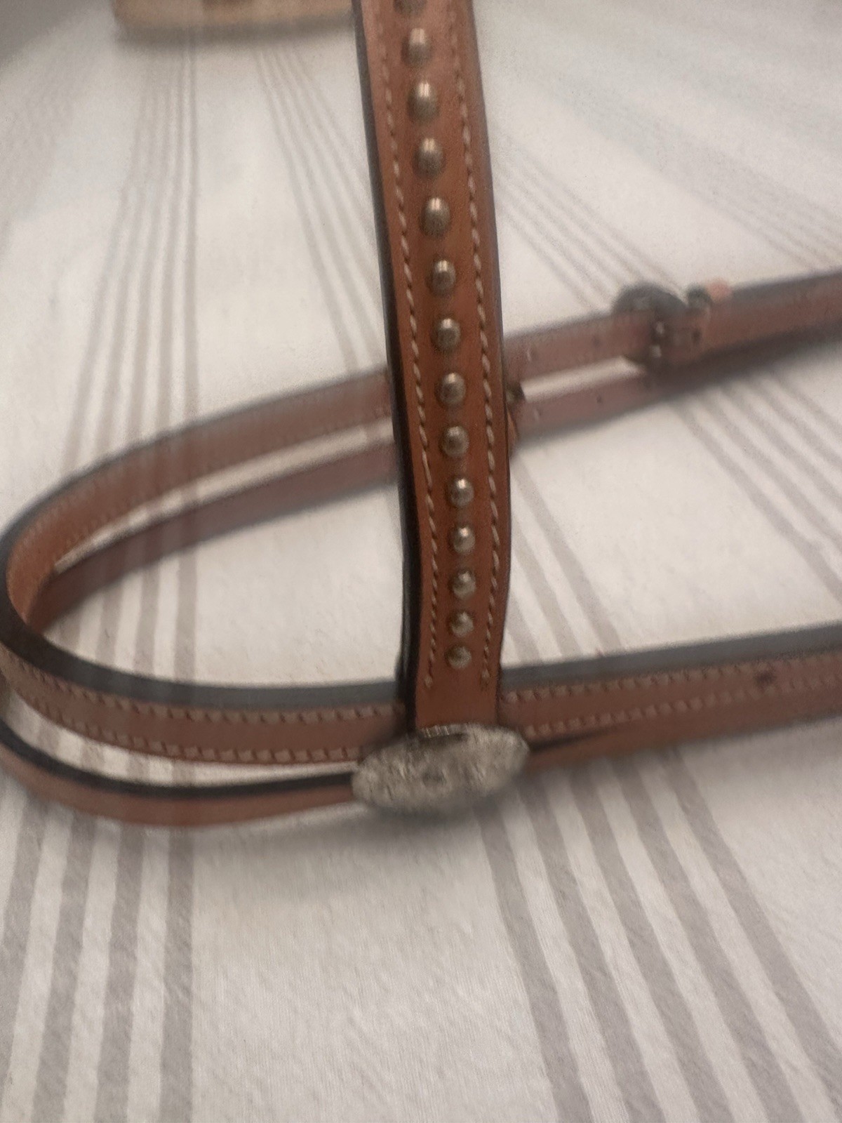 Vintage Champion Turf  Reins, Cody Brand Bridle Headstall Spotted Silver Accents