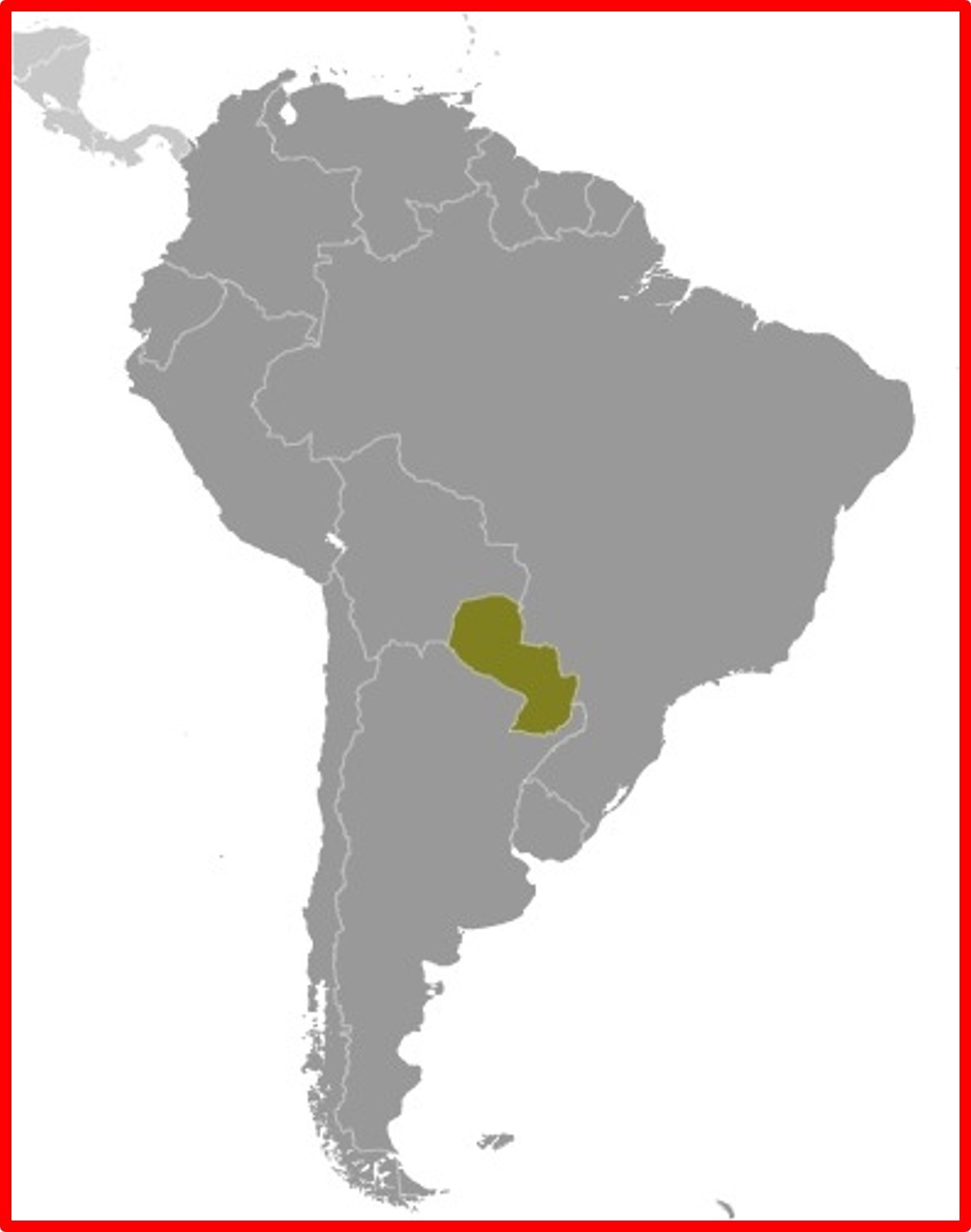 $21.00 Scott Value - 2013 PARAGUAY Flowers scarcer South America MNH NH UMM