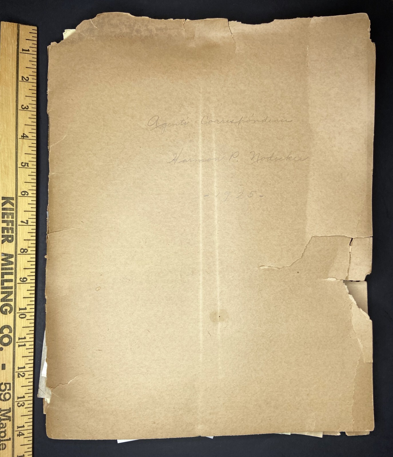 RARE Letter Archive - Traveling Salesman - Page Seed Co Greene, NY 1925 NY, PA,