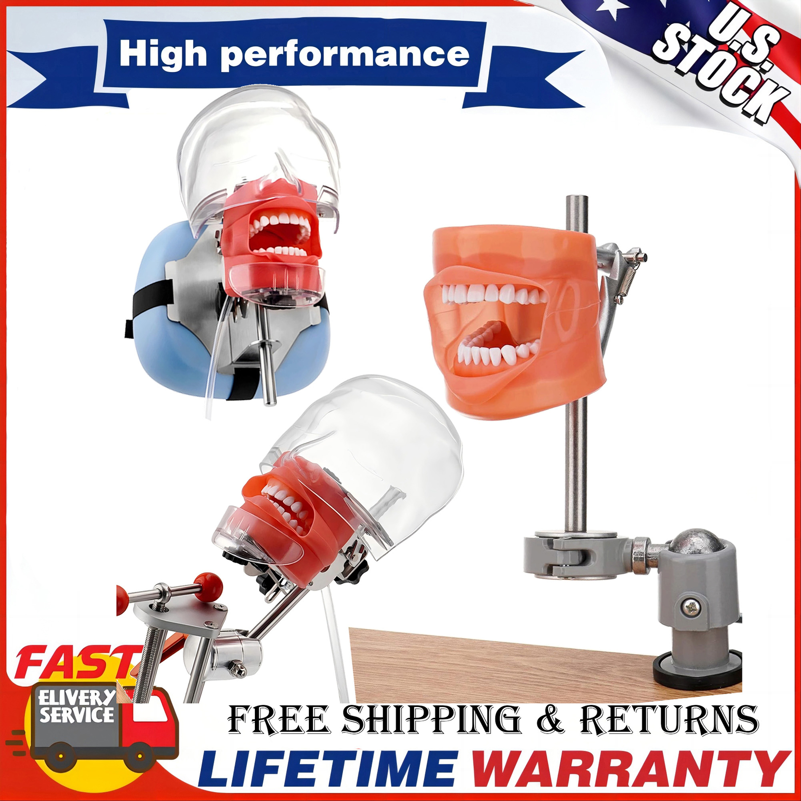 New Dental Simulator Mannequin Head Teeth Model Typodont Model &Teeth Mount Pole