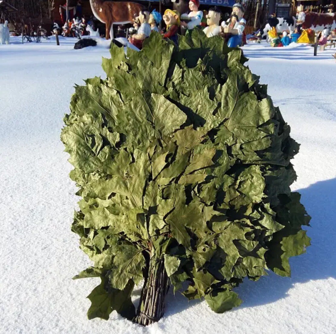 24 OAK whisks sauna banya venik brooms NEW SEASON 2025 FREE SHIPING