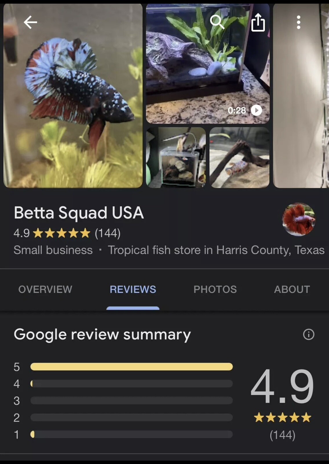 2,000 ~ 2,500 Live Daphnia Magna FREE PRIORITY SHIPPING