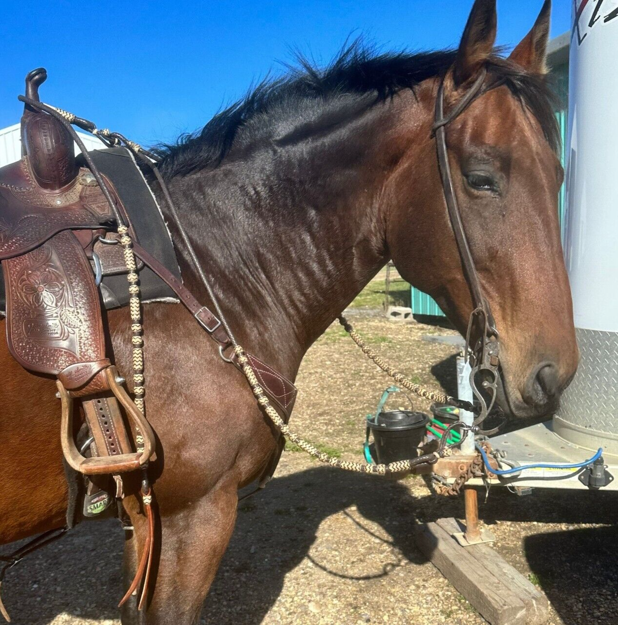 Romal Reins Dark Chocolate Brown, 10 Plaits Romel Reins, 45" Romel Reins.