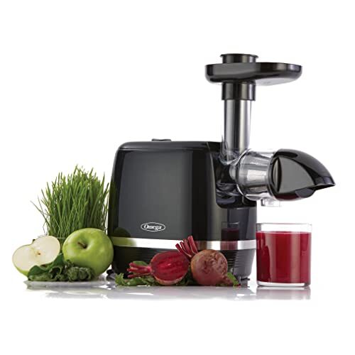 Omega H3000D Cold Press 365 Juicer Slow Masticating Extractor Creates Delicio...