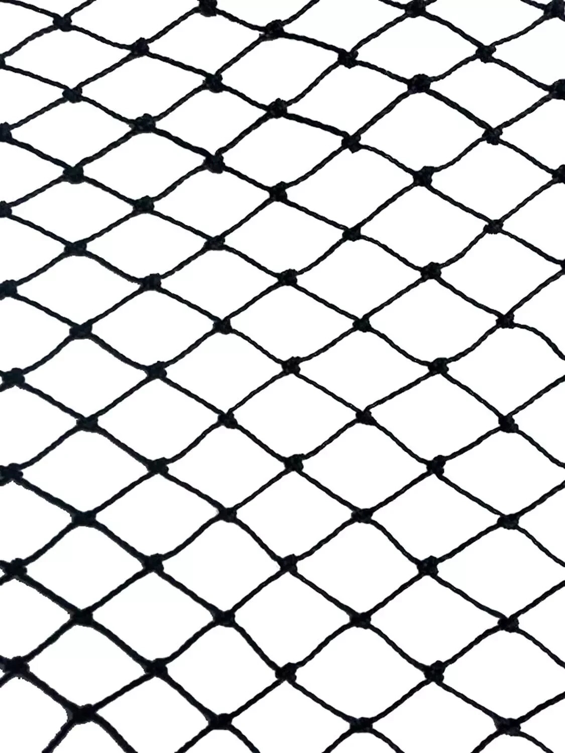 Heavy Duty Netting for Bird Poultry Aviary Game Pens 25' X 50' Net Black Mesh