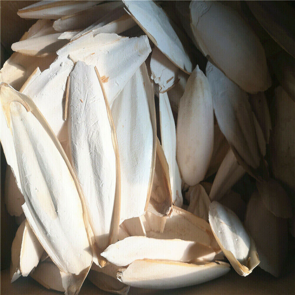 10/20X 2.4-3.1" Cuttlebone for Birds Parrot Chewing Cuttle Bone for Sharp Beaks·