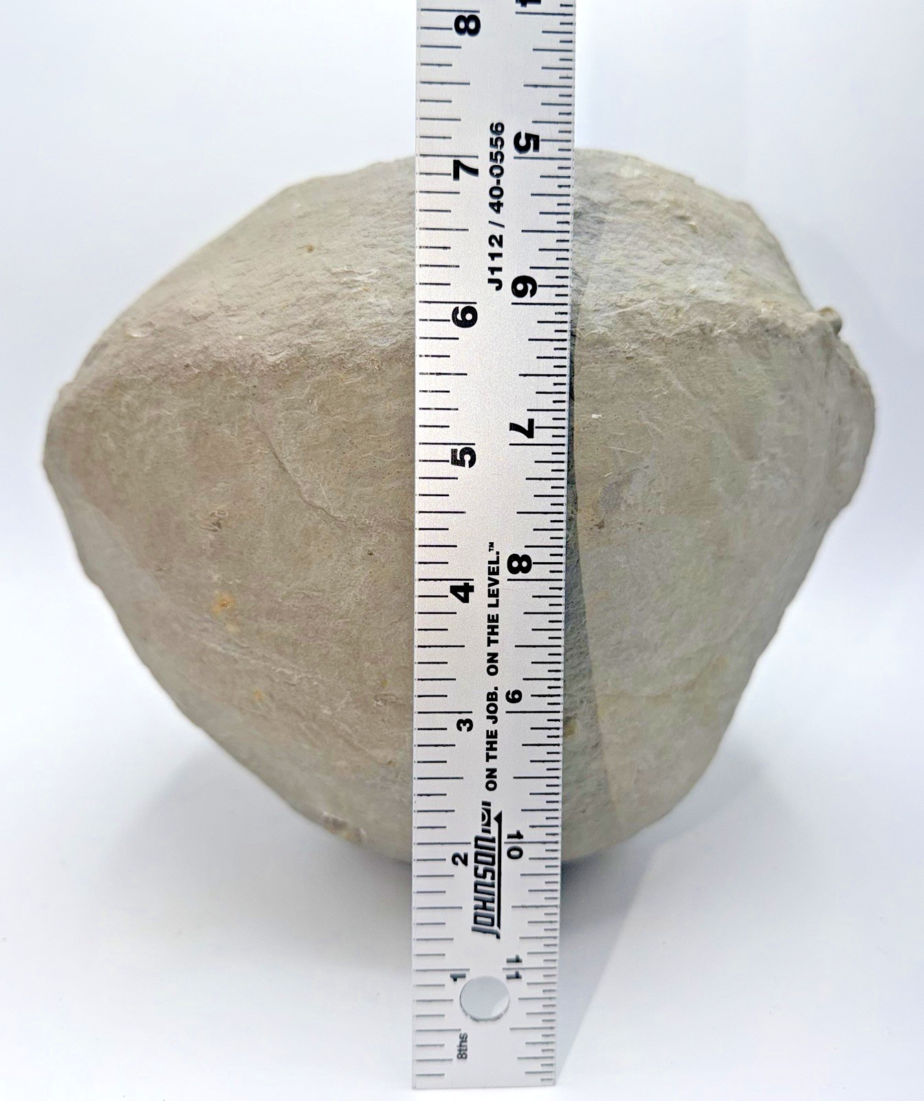 Large 31-lb Paleozoic Fossil Concretion w/Trilobite, Brachiopods, Gastropod poop