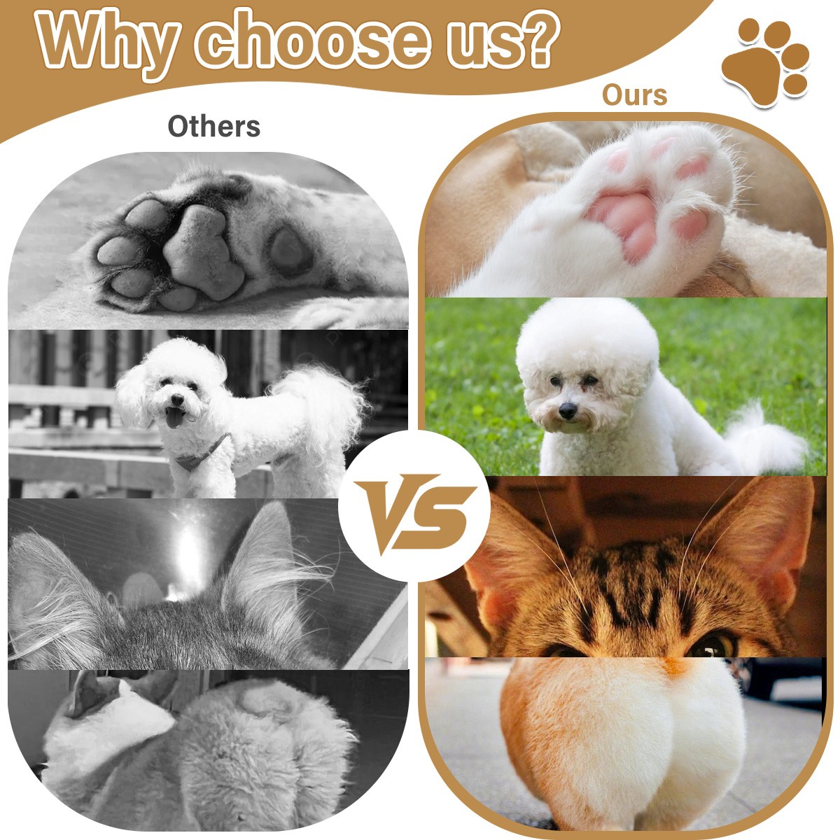 Pet Dog Paw Trimmer Pet Micro Precision Hair Clipper Set Low Noise Rechargeable