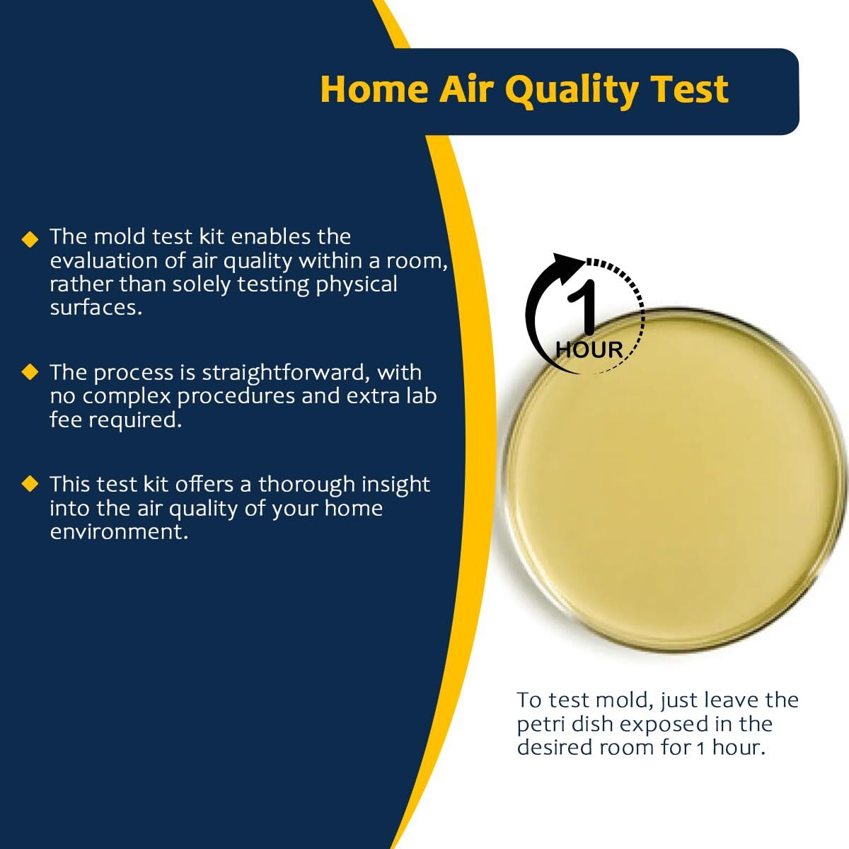 Mold Testing Kit with 10 Individual Tests - DIY Mold Test Kit for Home -