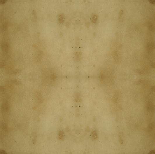 Engrave-A-Crete RAC (Acid) Concrete Stain-Sample Kit 16oz each