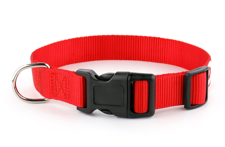 Service Dog | Emotional Support Animal Dog Collar Tag Harness ALL ACCESS CANINE™