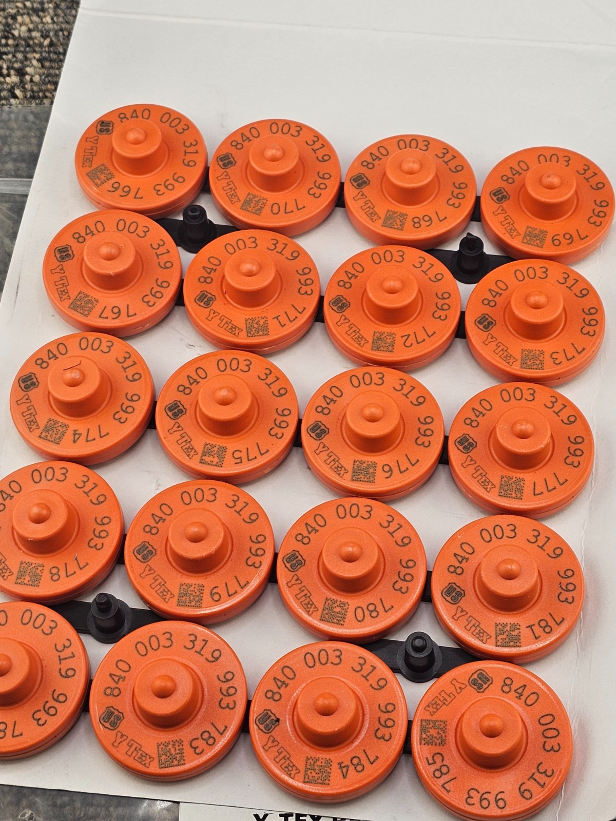 (QTY 20) Y-TEX: Official USDA Animal Disease Traceability For Cattle Ear Tags