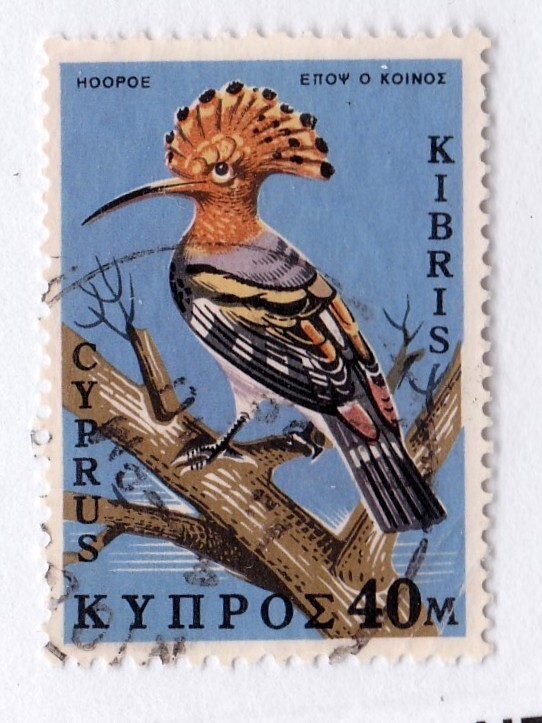 Cyprus       333         used