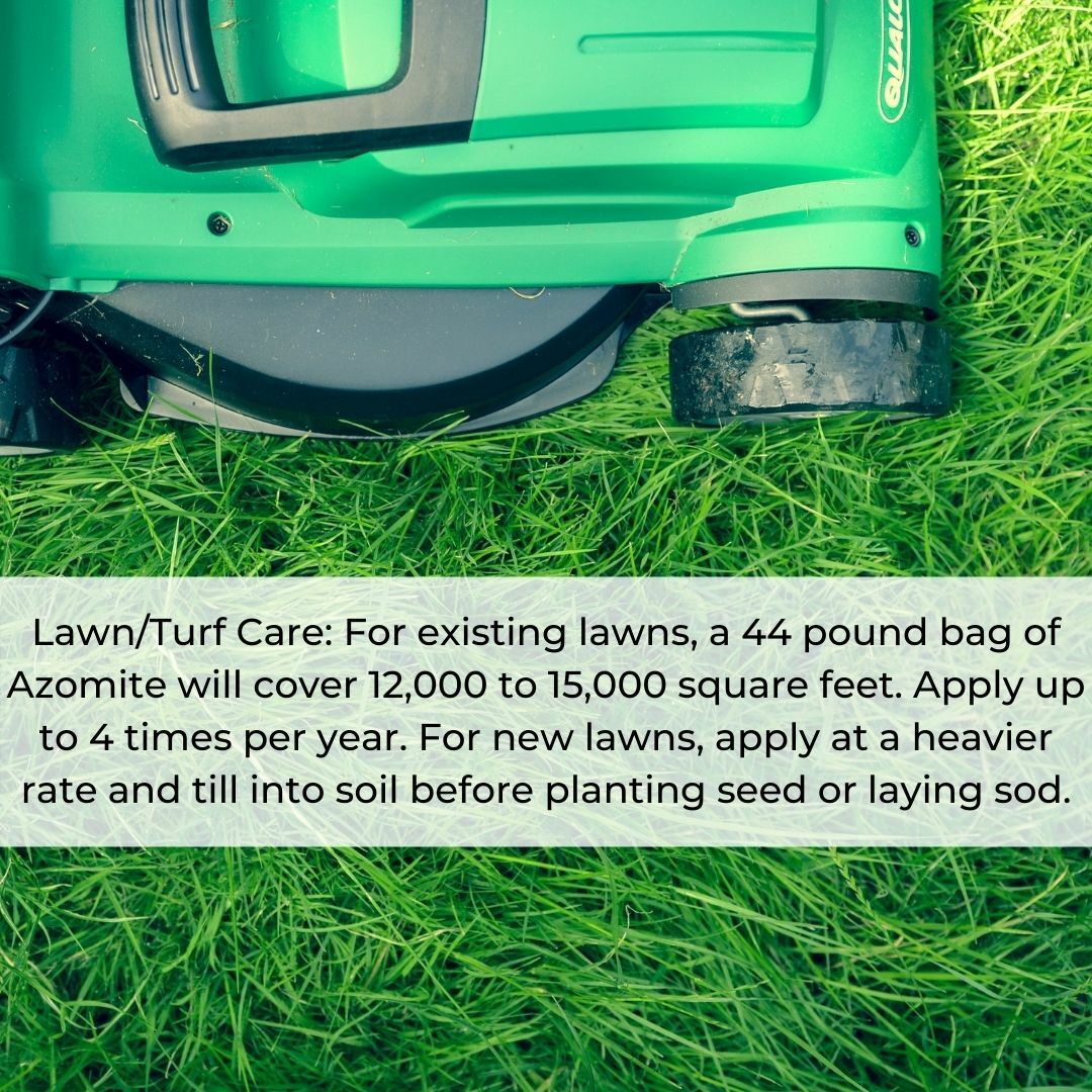 44 Pound AZOMITE Volcanic Ash Rock Dust Powder -67 Trace Minerals - Original Bag