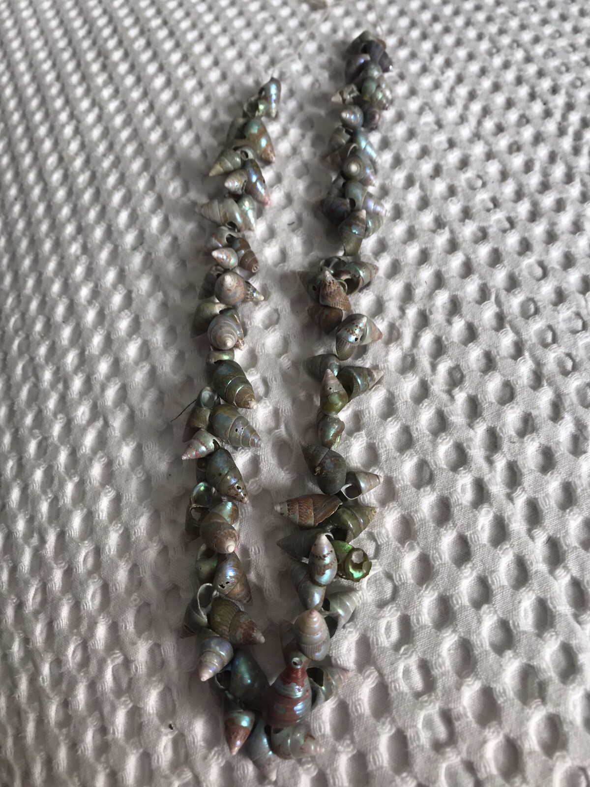 RARE OLD TRADE STRING OF MAIREENER SHELLS