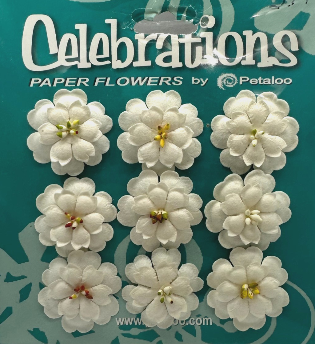 Celebrations Paper Flower by Petaloo Adorable Double Delphiniums cream 9 pc
