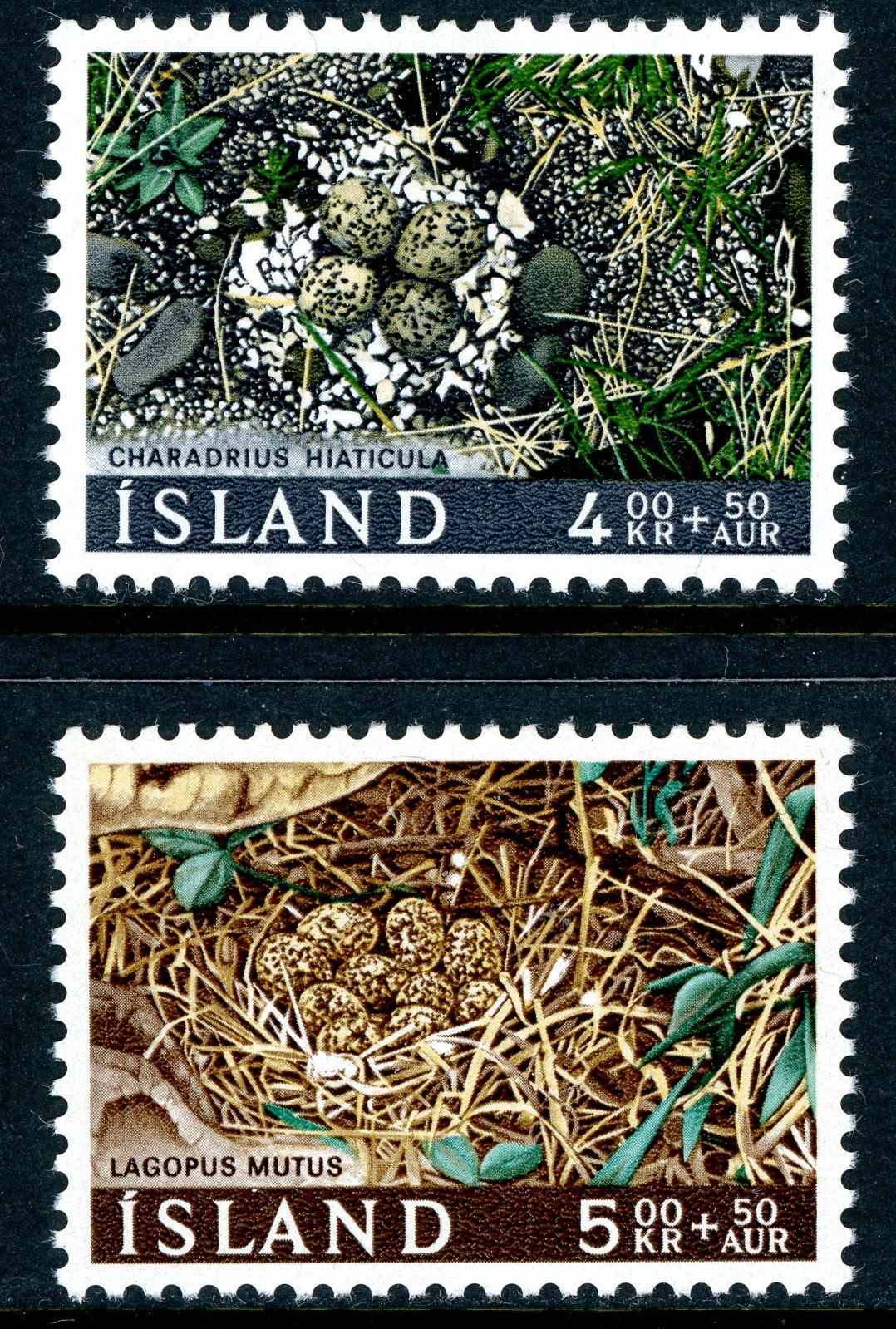 Iceland 1967 Birds Scott #B21-B22 Mint Non Hinged T77