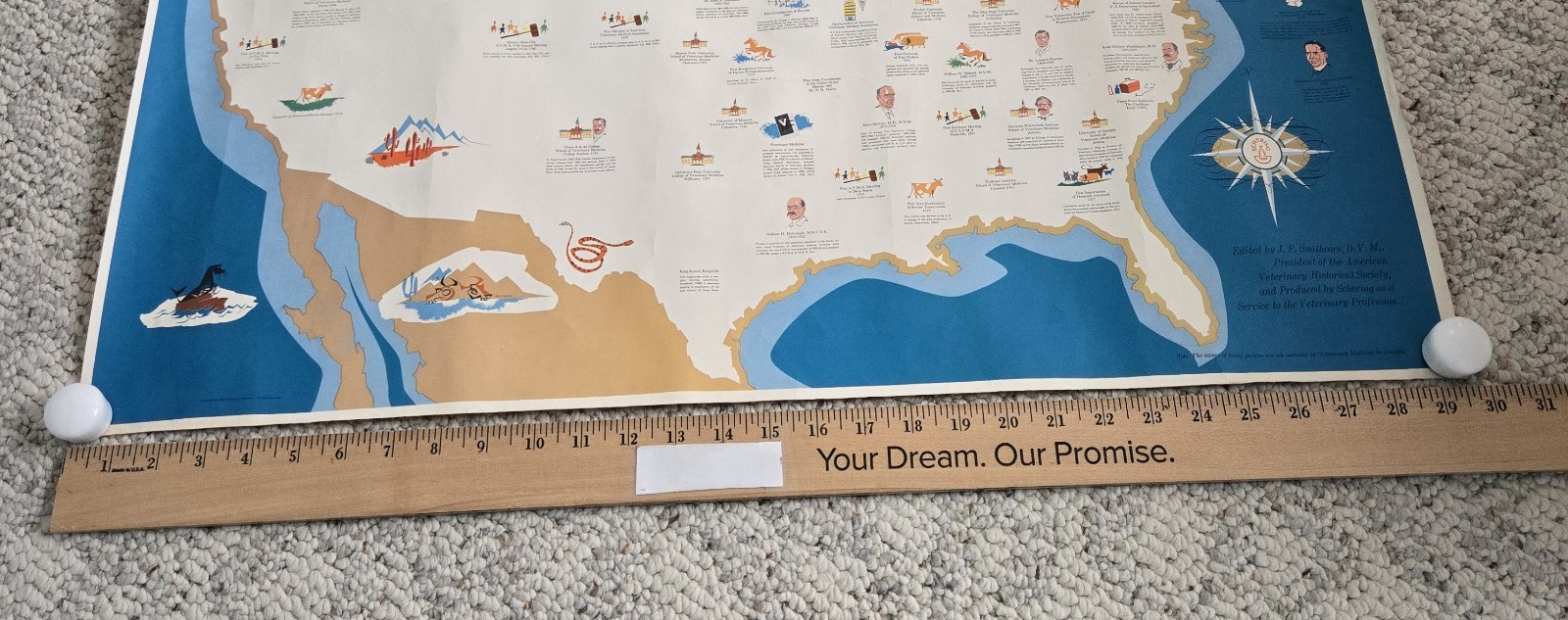 1960 Veterinary Medicine In America Poster History Map Unframed Vtg Vet Wall Art