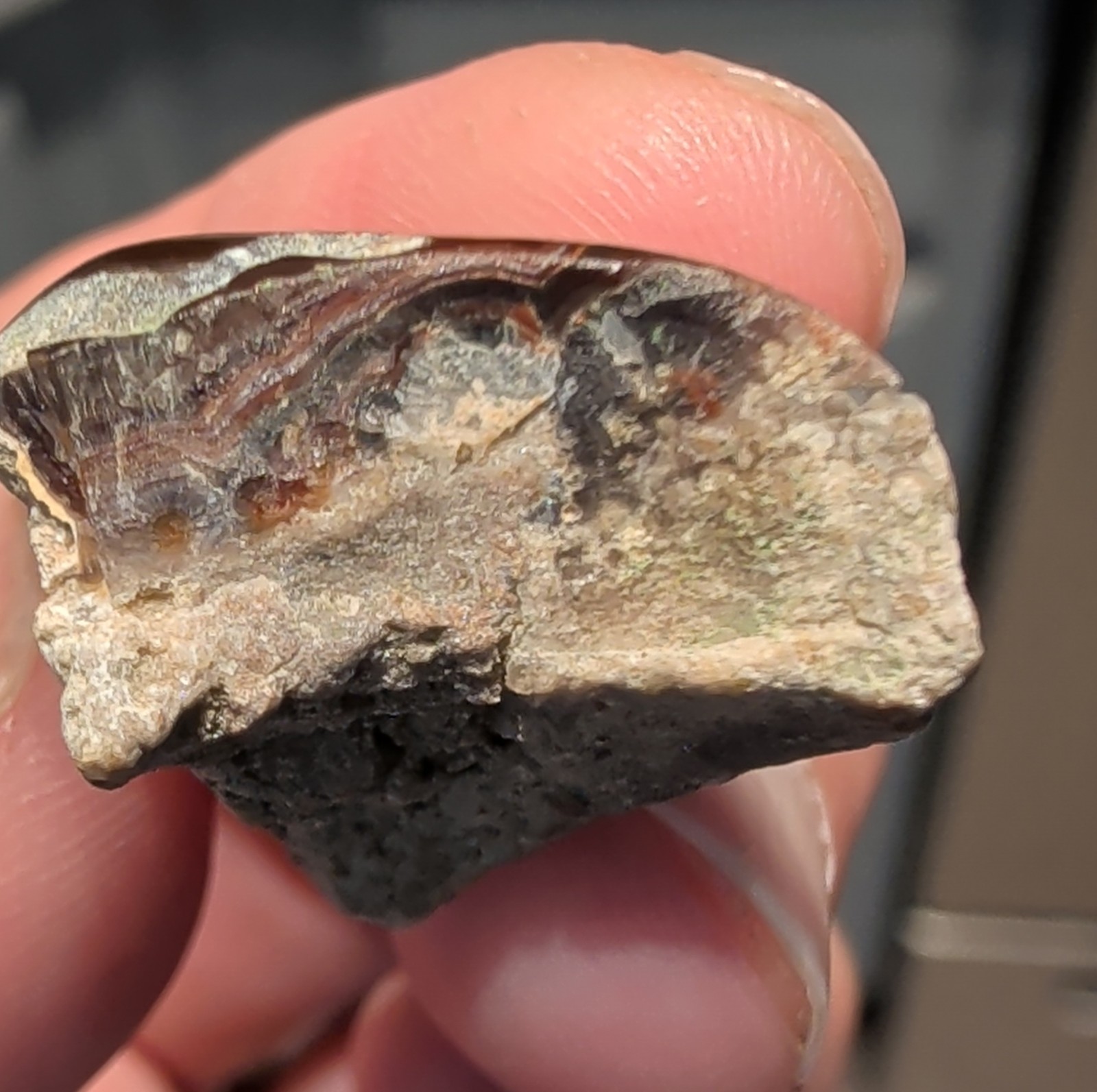 Polished Partial Fire Agate with Iridescent Specimen 7.9 grams