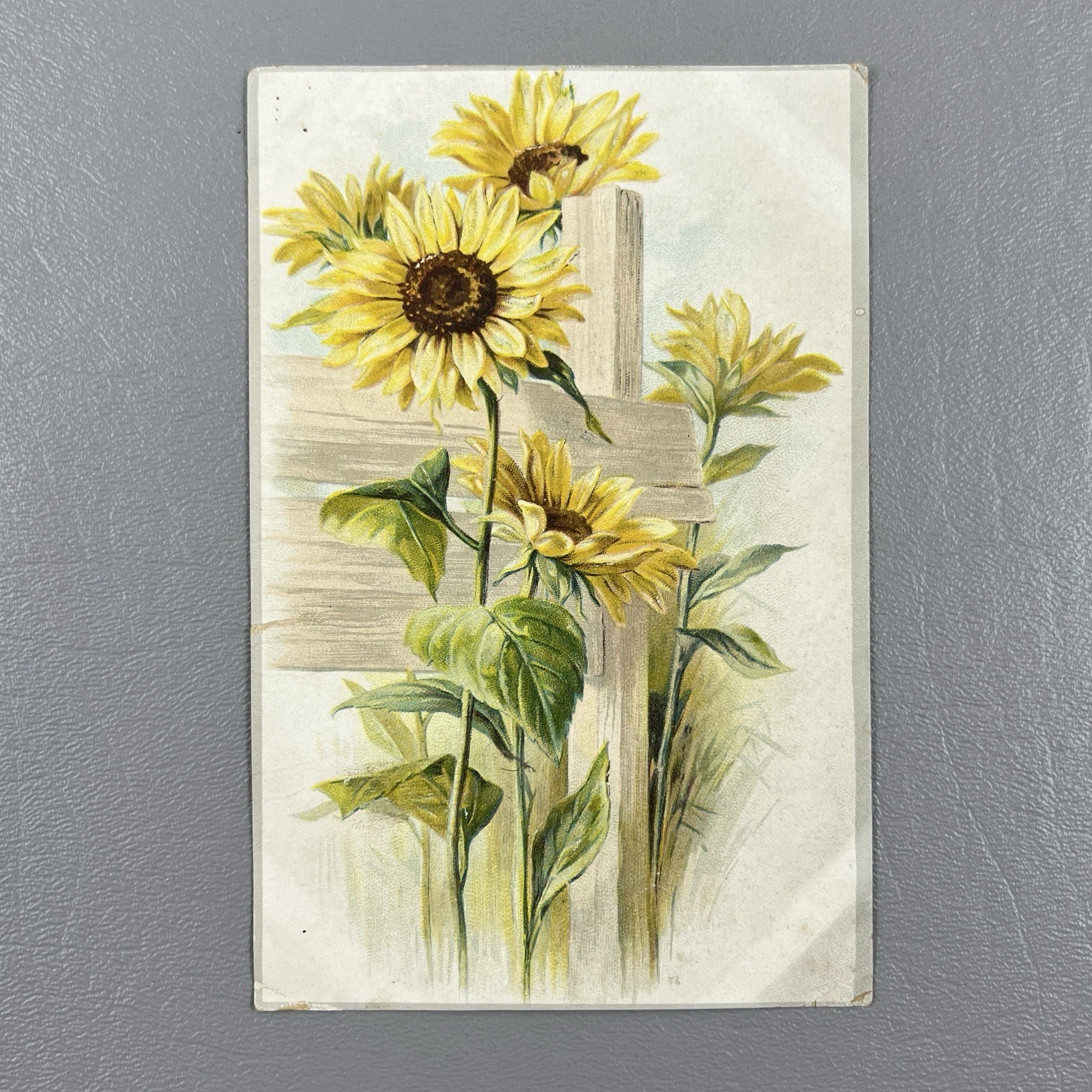 Victorian Trade Card Troy Geneva New York Summit Stoves Sunflowers 5.5x3.5"