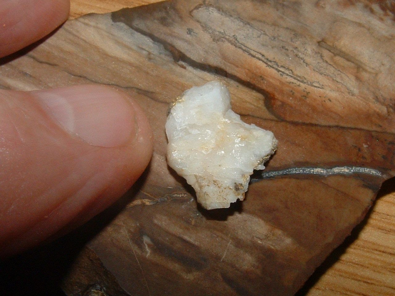 GOLD QUARTZ SPECIMEN 1.35 GRAM CALIFORNIA GOLD AND QUARTZ